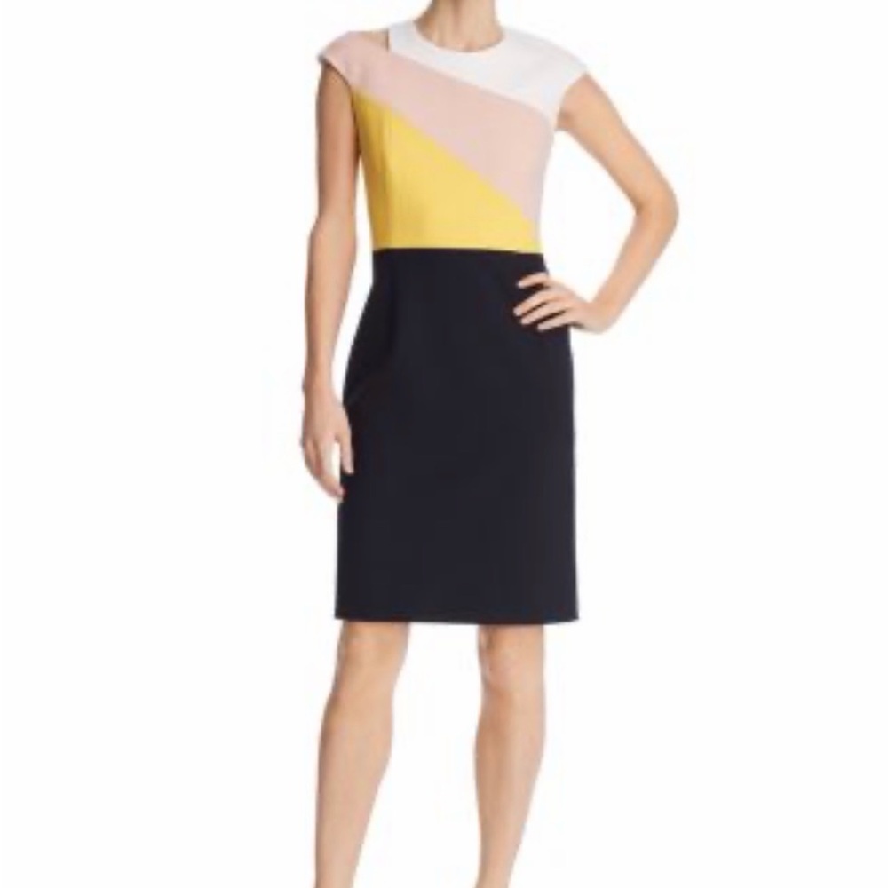 Boss Danouk Sheath Dress NWT
